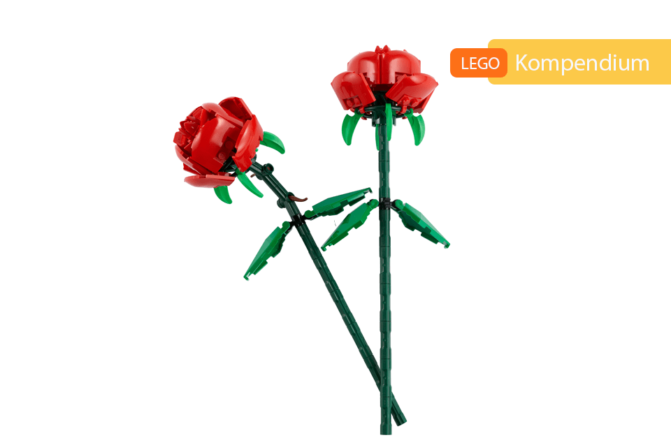 40460 – Róże